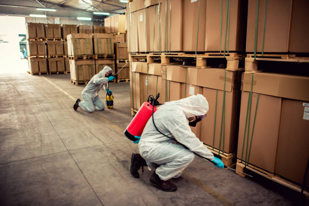 Best Termite Control Services  in Des Moines, IA