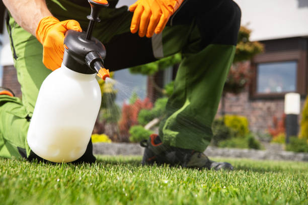 Best Residential Pest Control  in Des Moines, IA