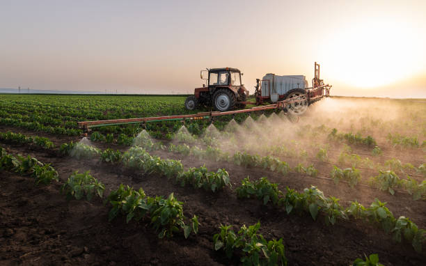 Professional Pest Control in Des Moines, IA