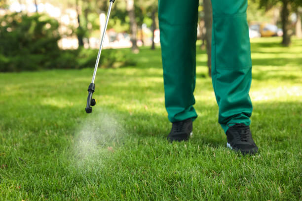 Best Exterminator Services  in Des Moines, IA