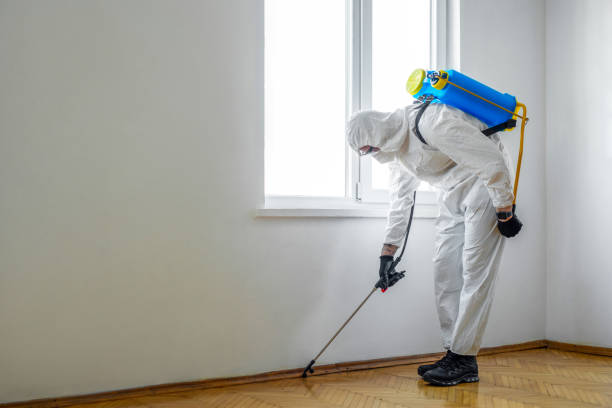 Best Wildlife Control Services  in Des Moines, IA