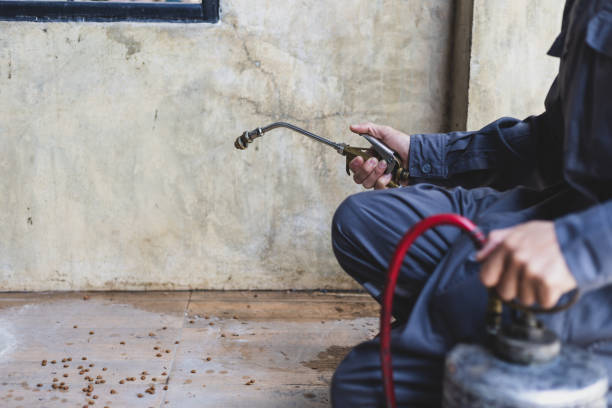 Best Affordable Pest Control Services  in Des Moines, IA